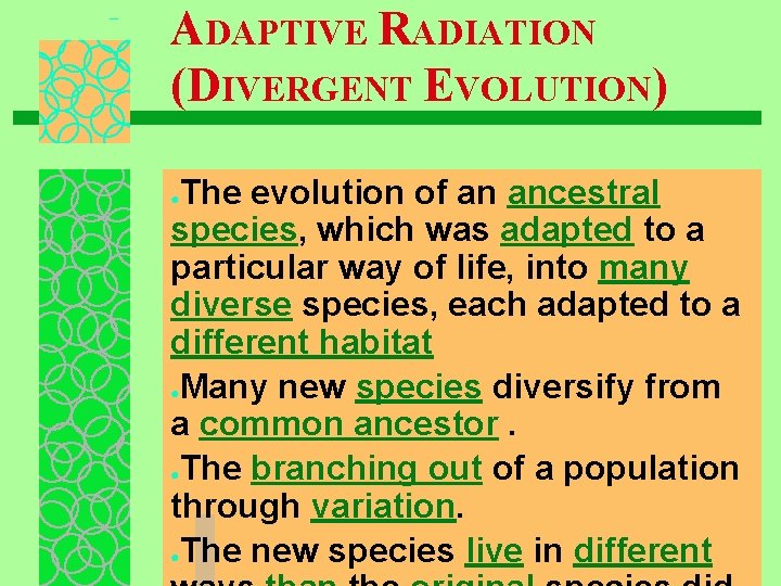 ADAPTIVE RADIATION (DIVERGENT EVOLUTION) The evolution of an ancestral species, which was adapted to