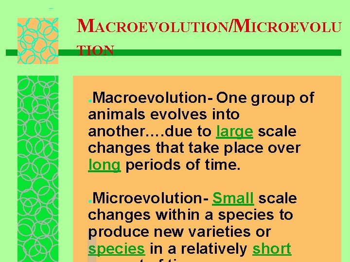 MACROEVOLUTION/MICROEVOLU TION Macroevolution- One group of animals evolves into another…. due to large scale