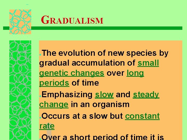 GRADUALISM The evolution of new species by gradual accumulation of small genetic changes over