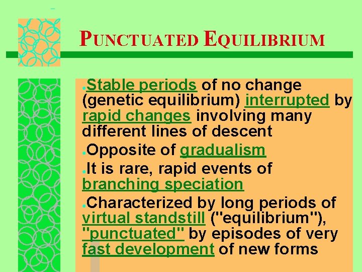 PUNCTUATED EQUILIBRIUM Stable periods of no change (genetic equilibrium) interrupted by rapid changes involving