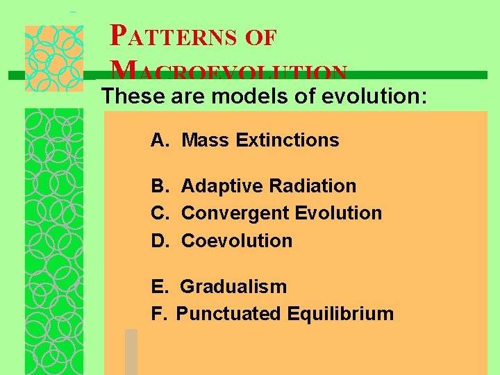 PATTERNS OF MACROEVOLUTION These are models of evolution: A. Mass Extinctions B. Adaptive Radiation