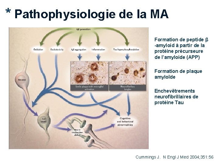 * Pathophysiologie de la MA Formation de peptide β -amyloid à partir de la