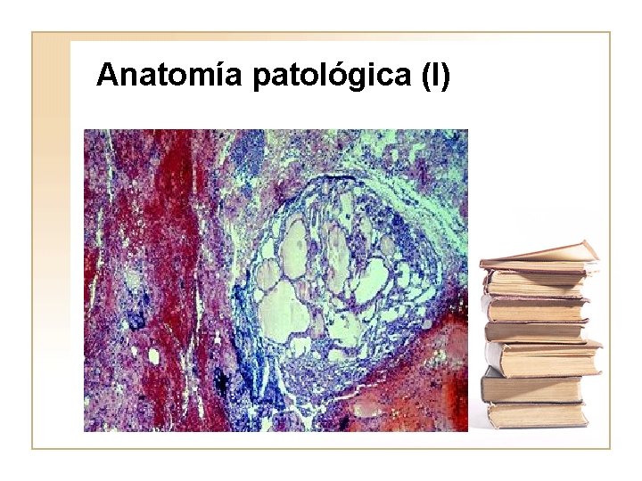 Anatomía patológica (I) 