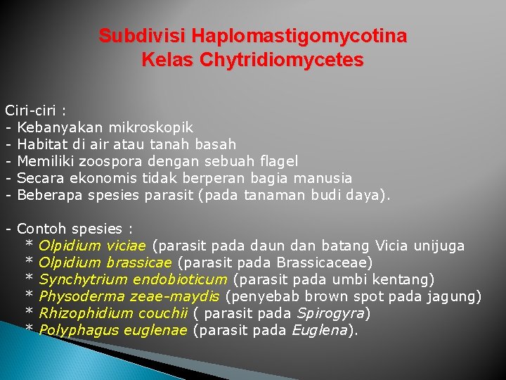 Subdivisi Haplomastigomycotina Kelas Chytridiomycetes Ciri-ciri : - Kebanyakan mikroskopik - Habitat di air atau