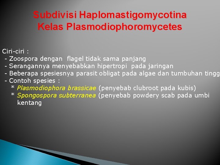 Subdivisi Haplomastigomycotina Kelas Plasmodiophoromycetes Ciri-ciri : - Zoospora dengan flagel tidak sama panjang -