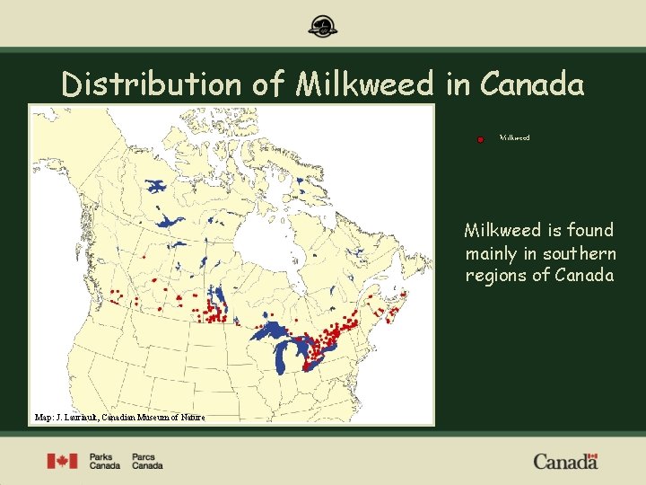 Distribution of Milkweed in Canada Milkweed is found mainly in southern regions of Canada