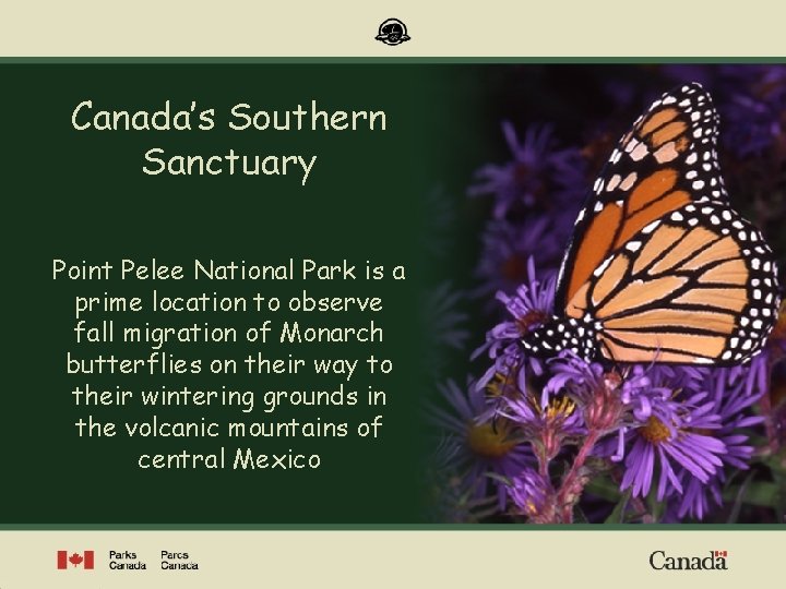 Point Pelee National Park of Canada’s Southern Sanctuary Point Pelee National Park is a