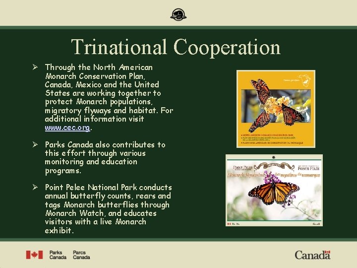 Trinational Cooperation Ø Through the North American Monarch Conservation Plan, Canada, Mexico and the