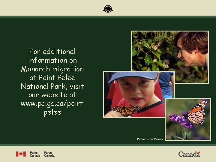 For additional information on Monarch migration at Point Pelee National Park, visit our website