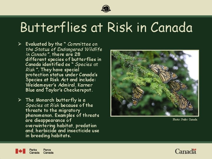 Butterflies at Risk in Canada Ø Evaluated by the “ Committee on the Status