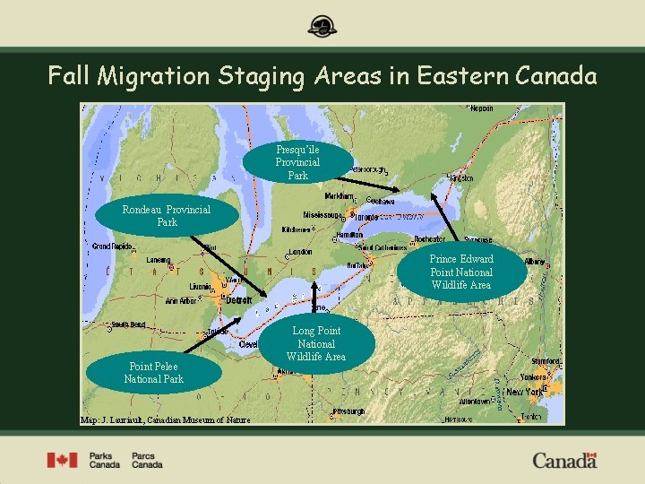 Fall Migration Staging Areas in Eastern Canada Presqu’ile Provincial Park Rondeau Provincial Park Prince