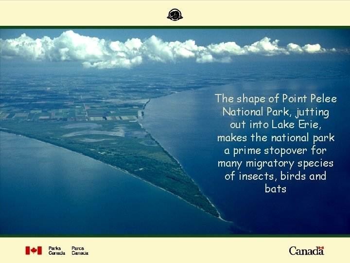 The shape of Point Pelee National Park, jutting out into Lake Erie, makes the