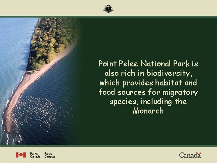 Point Pelee National Park is also rich in biodiversity, which provides habitat and food