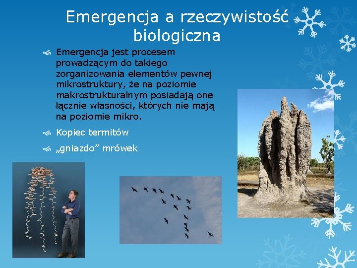 Emergencja a rzeczywistość biologiczna Emergencja jest procesem prowadzącym do takiego zorganizowania elementów pewnej mikrostruktury,