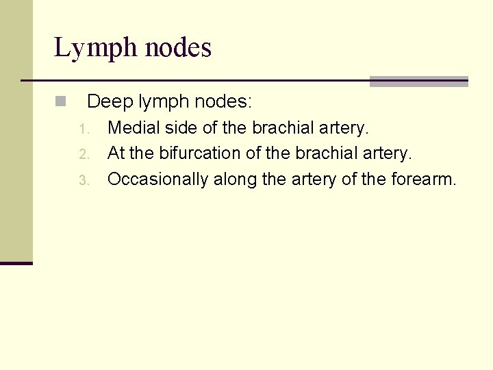 Lymph nodes n Deep lymph nodes: 1. 2. 3. Medial side of the brachial