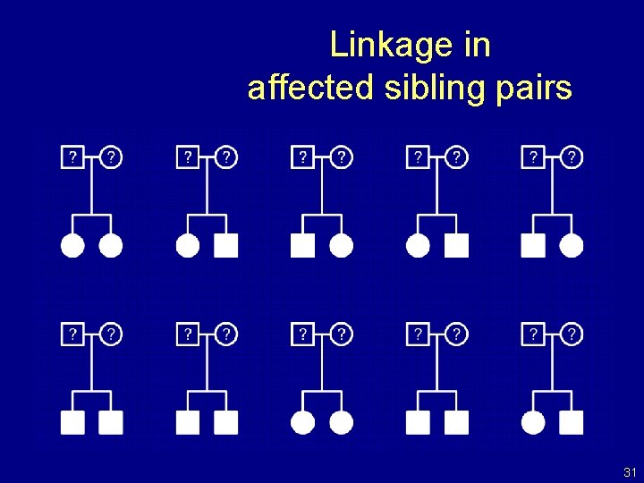 Linkage in affected sibling pairs 31 