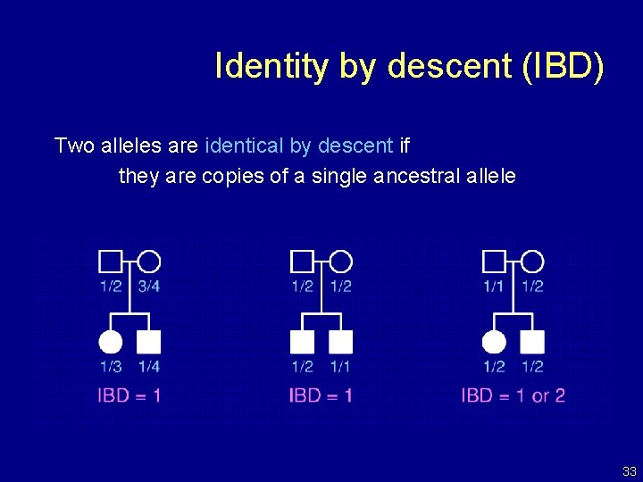 Identity by descent (IBD) Two alleles are identical by descent if they are copies