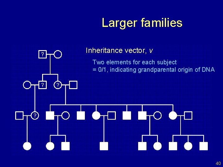 Larger families Inheritance vector, v Two elements for each subject = 0/1, indicating grandparental