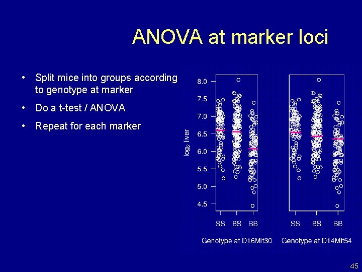 ANOVA at marker loci • Split mice into groups according to genotype at marker