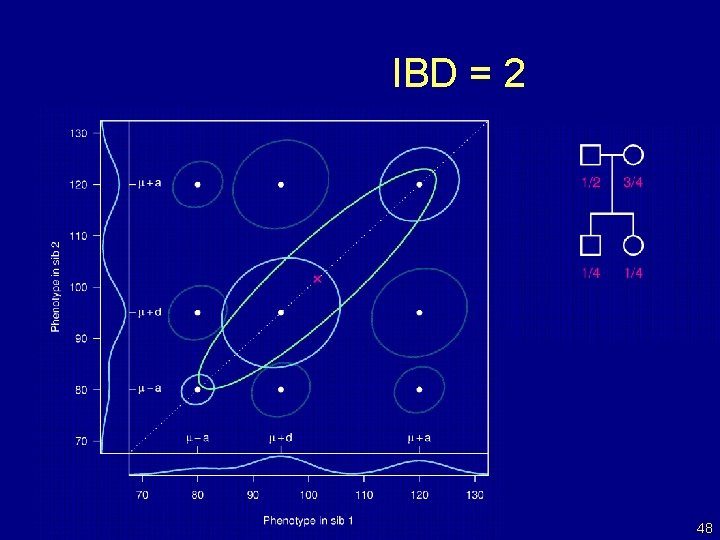 IBD = 2 48 