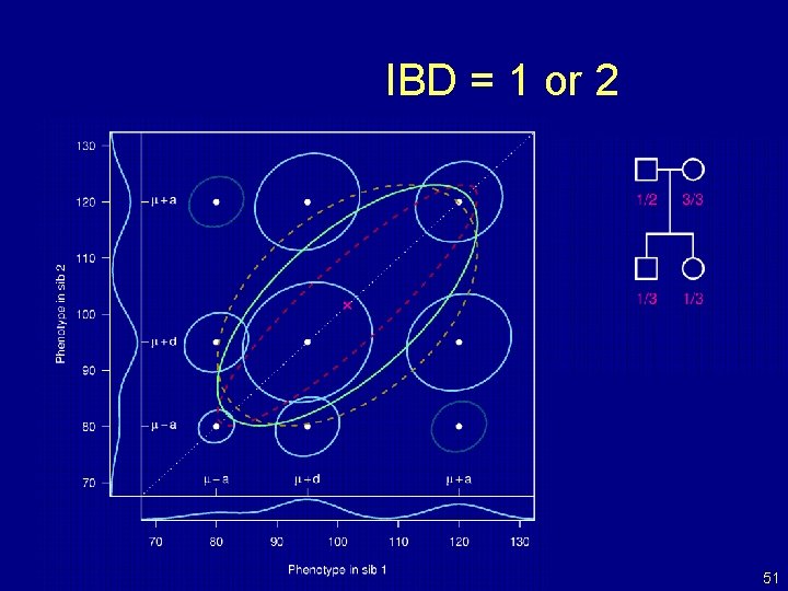 IBD = 1 or 2 51 