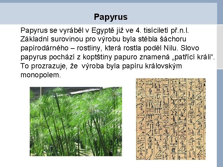 Papyrus se vyráběl v Egyptě již ve 4. tisíciletí př. n. l. Základní surovinou