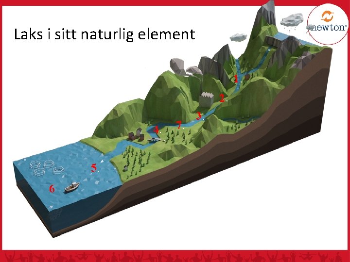 Laks i sitt naturlig element 1. 2. 4. 5. 6 7. 3. 