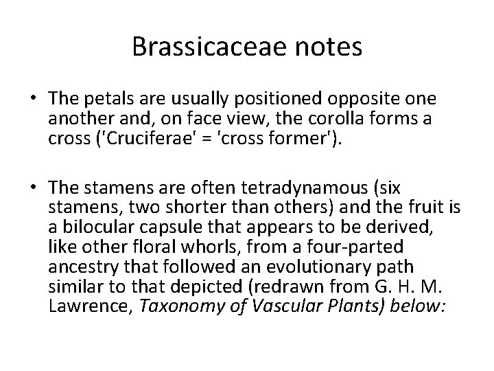 Brassicaceae notes • The petals are usually positioned opposite one another and, on face