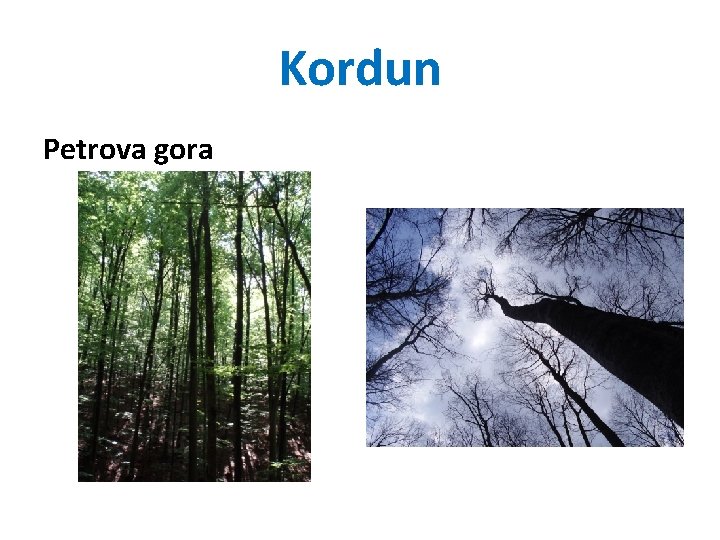 Kordun Petrova gora 