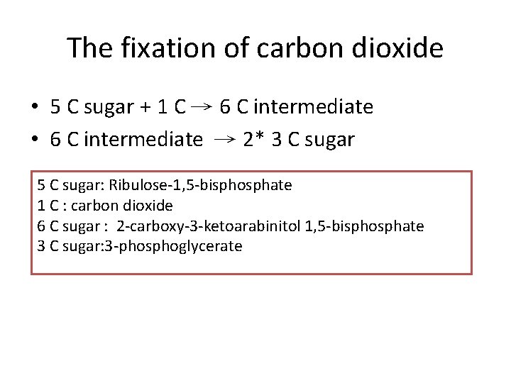 The fixation of carbon dioxide • 5 C sugar + 1 C → 6
