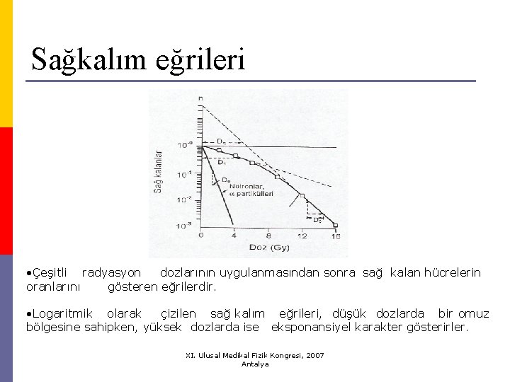 Sağkalım eğrileri • Çeşitli radyasyon dozlarının uygulanmasından sonra sağ kalan hücrelerin oranlarını gösteren eğrilerdir.