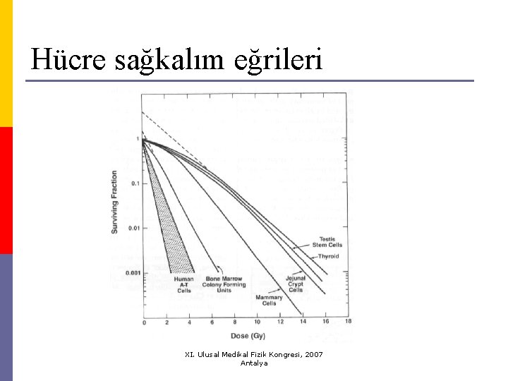 Hücre sağkalım eğrileri XI. Ulusal Medikal Fizik Kongresi, 2007 Antalya 