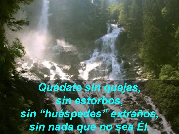 Quédate sin quejas, sin estorbos, sin “huéspedes” extraños, sin nada que no sea Él.