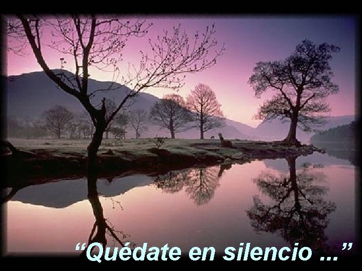 “Quédate en silencio. . . ” 
