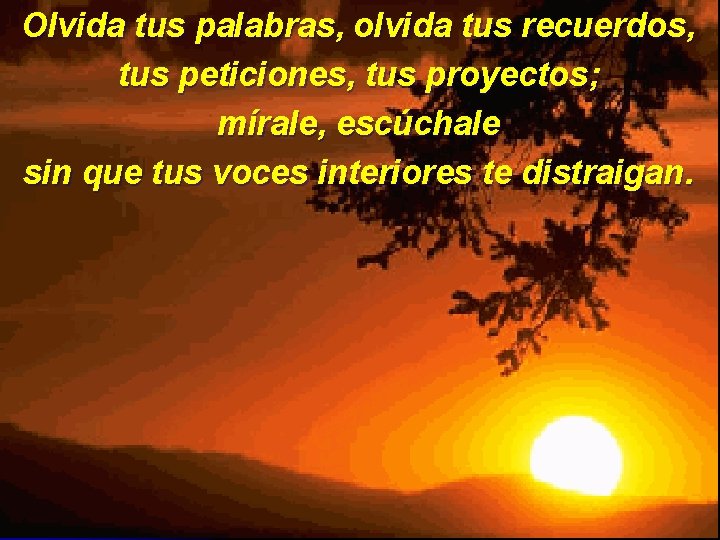 Olvida tus palabras, olvida tus recuerdos, tus peticiones, tus proyectos; mírale, escúchale sin que