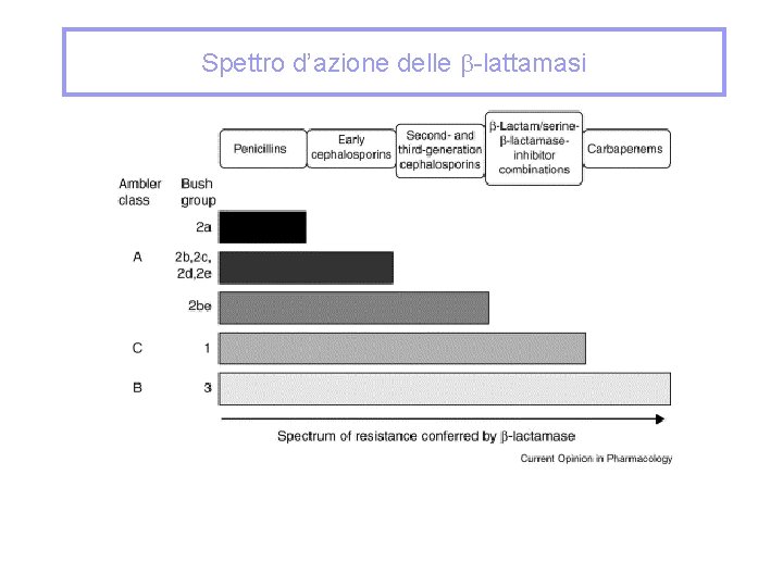 Spettro d’azione delle -lattamasi 