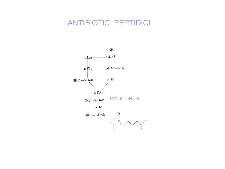 ANTIBIOTICI PEPTIDICI POLIMIXINA B 