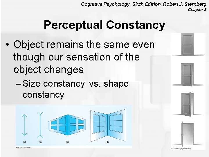 Cognitive Psychology, Sixth Edition, Robert J. Sternberg Chapter 3 Perceptual Constancy • Object remains