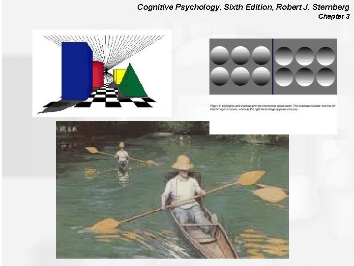 Cognitive Psychology, Sixth Edition, Robert J. Sternberg Chapter 3 