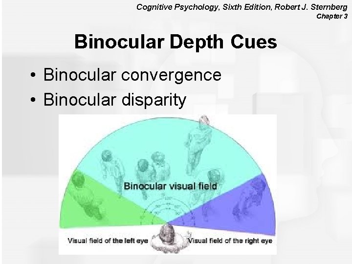 Cognitive Psychology, Sixth Edition, Robert J. Sternberg Chapter 3 Binocular Depth Cues • Binocular