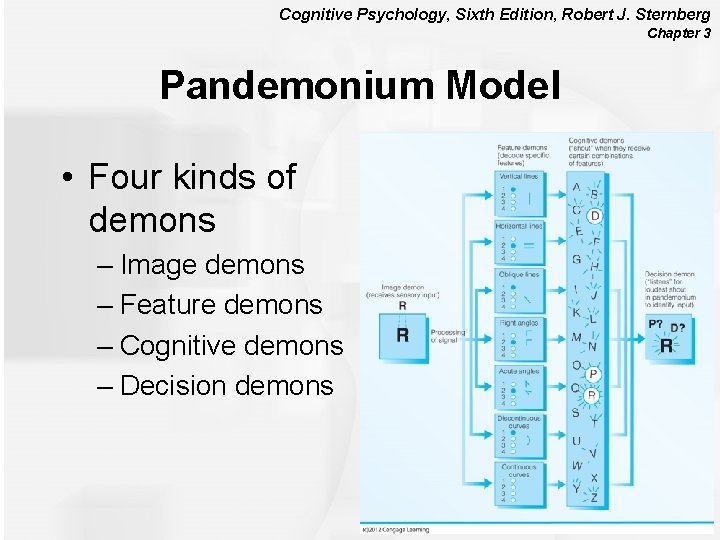 Cognitive Psychology, Sixth Edition, Robert J. Sternberg Chapter 3 Pandemonium Model • Four kinds