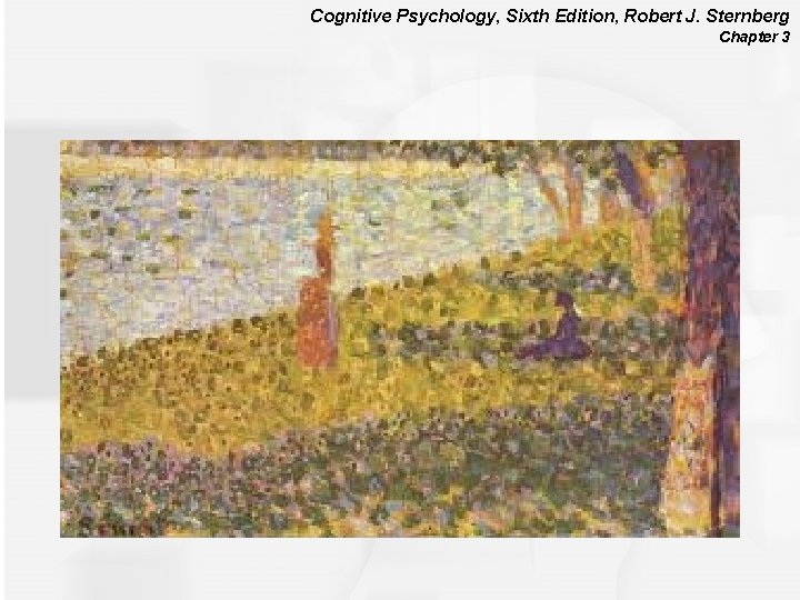 Cognitive Psychology, Sixth Edition, Robert J. Sternberg Chapter 3 