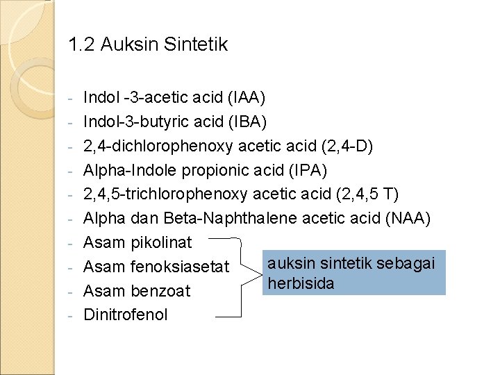 1. 2 Auksin Sintetik - Indol -3 -acetic acid (IAA) Indol-3 -butyric acid (IBA)