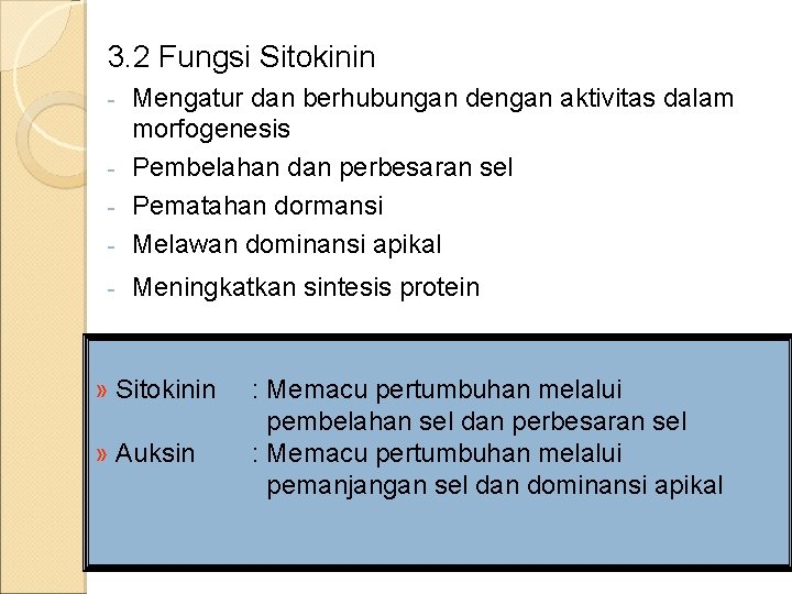 3. 2 Fungsi Sitokinin Mengatur dan berhubungan dengan aktivitas dalam morfogenesis - Pembelahan dan