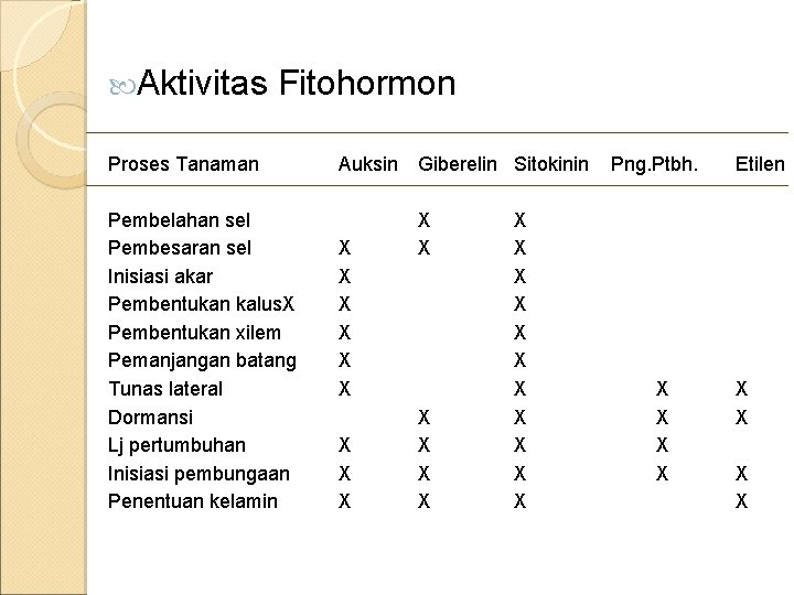  Aktivitas Fitohormon Proses Tanaman Auksin Pembelahan sel Pembesaran sel Inisiasi akar Pembentukan kalus.