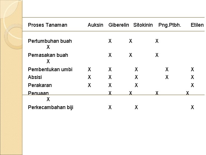 Proses Tanaman Auksin Giberelin Sitokinin Png. Ptbh. Pertumbuhan buah X X Pemasakan buah X