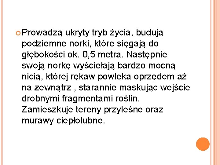  Prowadzą ukryty tryb życia, budują podziemne norki, które sięgają do głębokości ok. 0,