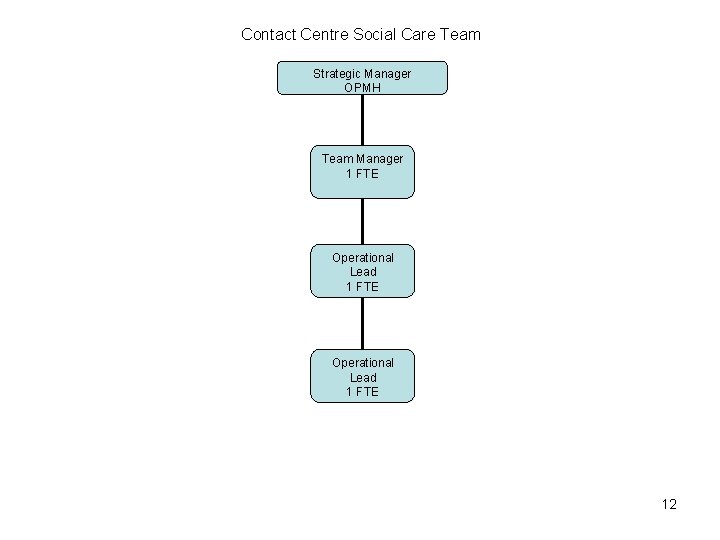 Contact Centre Social Care Team Strategic Manager OPMH Team Manager 1 FTE Operational Lead