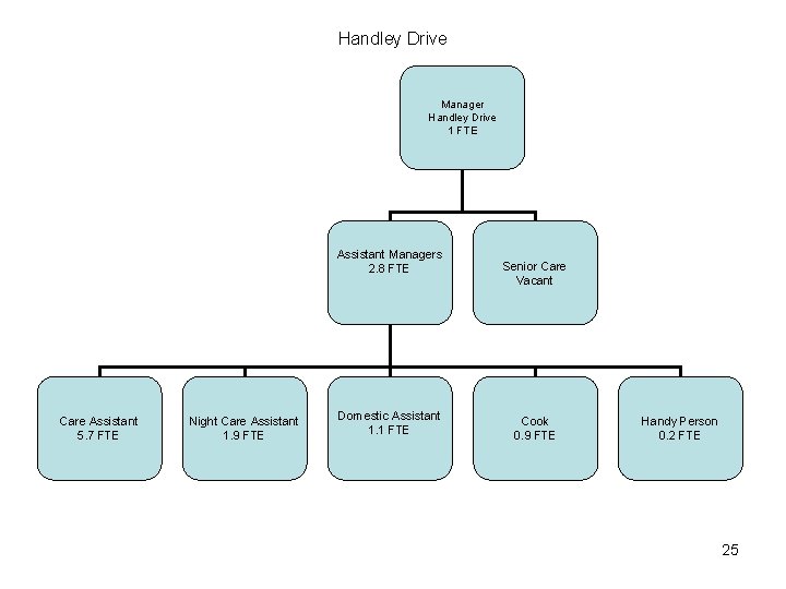 Handley Drive Manager Handley Drive 1 FTE Assistant Managers 2. 8 FTE Care Assistant