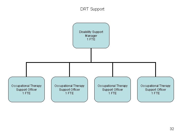 DRT Support Disability Support Manager 1 FTE Occupational Therapy Support Officer 1 FTE 32